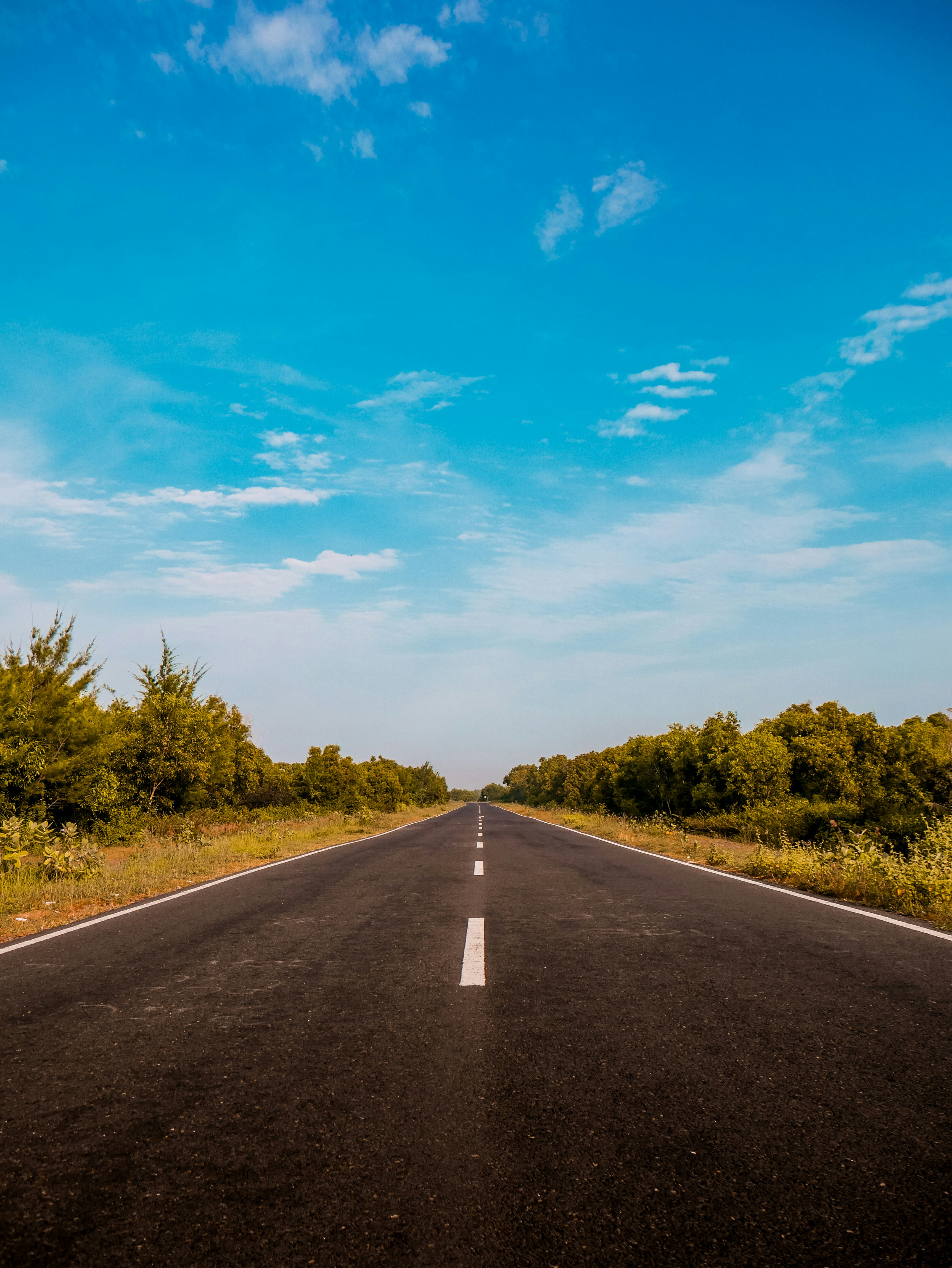 gray concrete road between green trees under blue sky during daytime